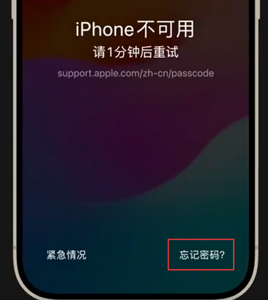太谷苹果手机密码维修分享iPhone忘记了刚设置的密码 